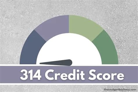 314 credit score
